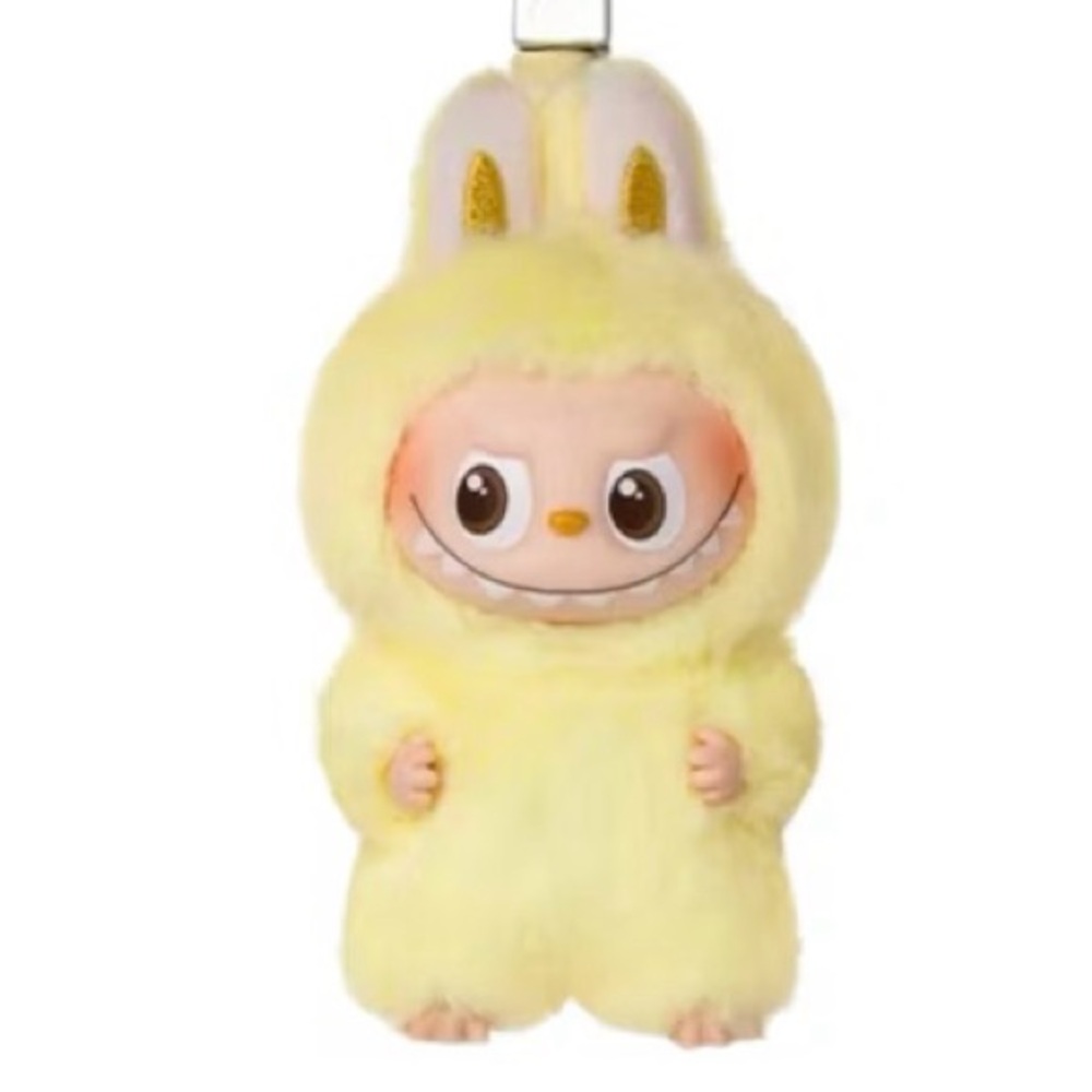 NEW Unopened Labubu Pin for Love F